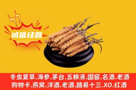 深圳南山区回收冬虫夏草
